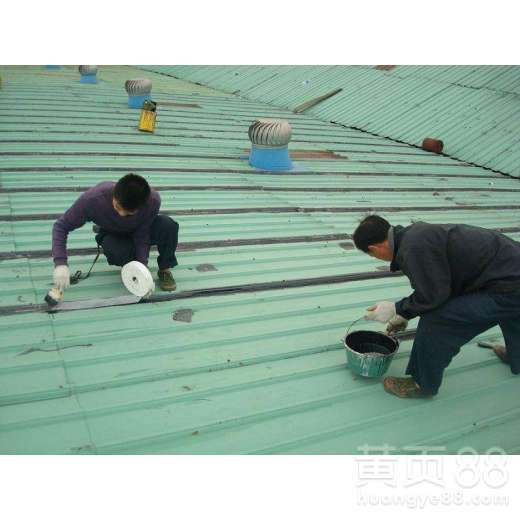 沙溪彩钢瓦工程与网络工程 传统与现代的跨领域服务探索